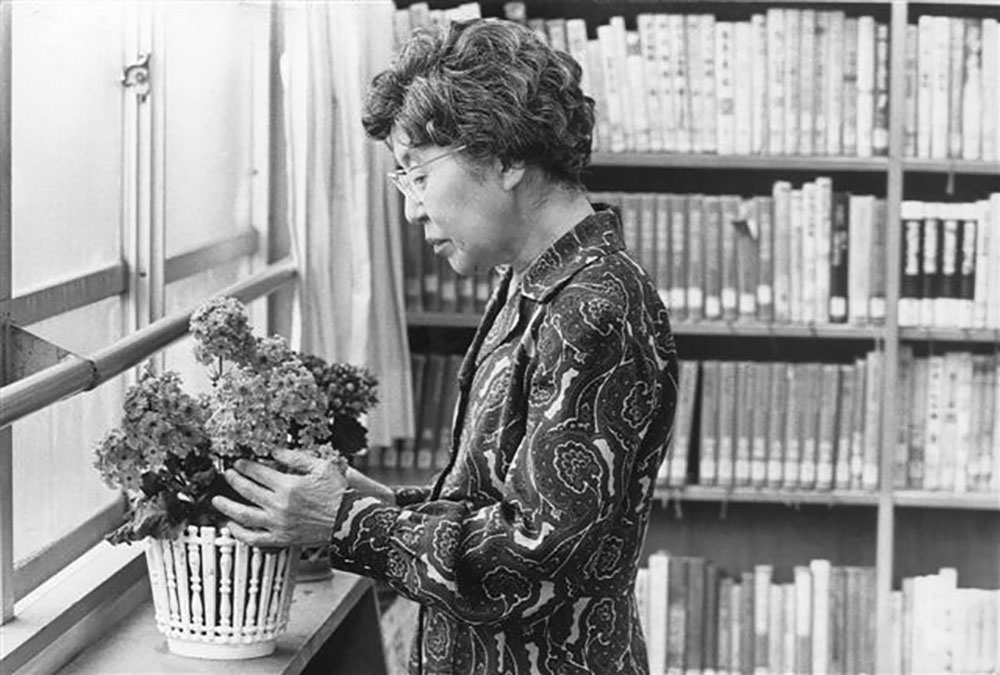 鉢植えの花を飾る大村はまの横顔