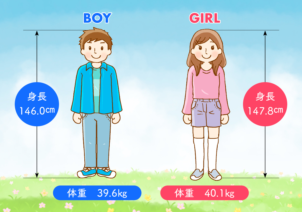 図表 身長・体重