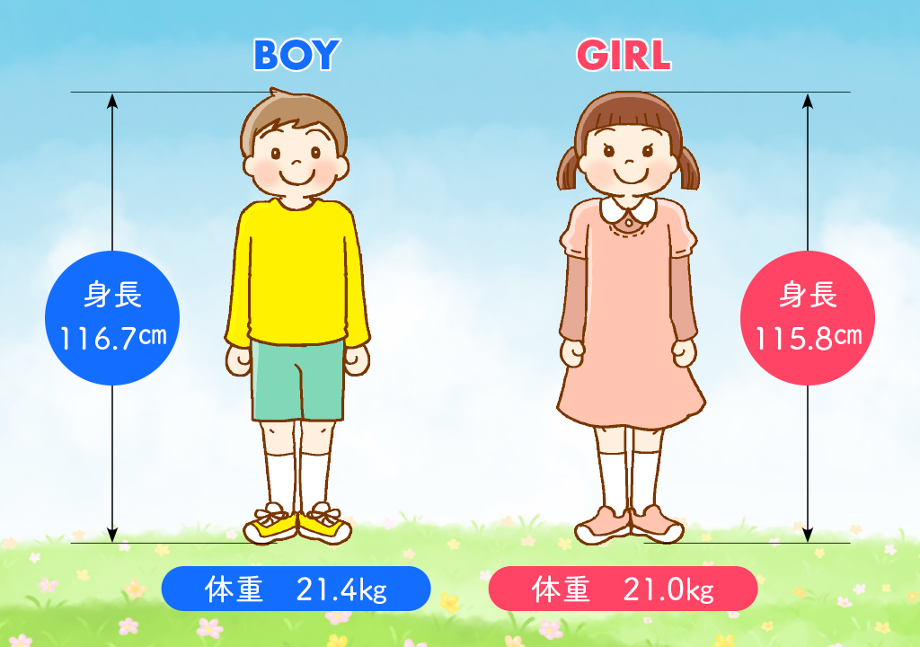 図表 身長・体重