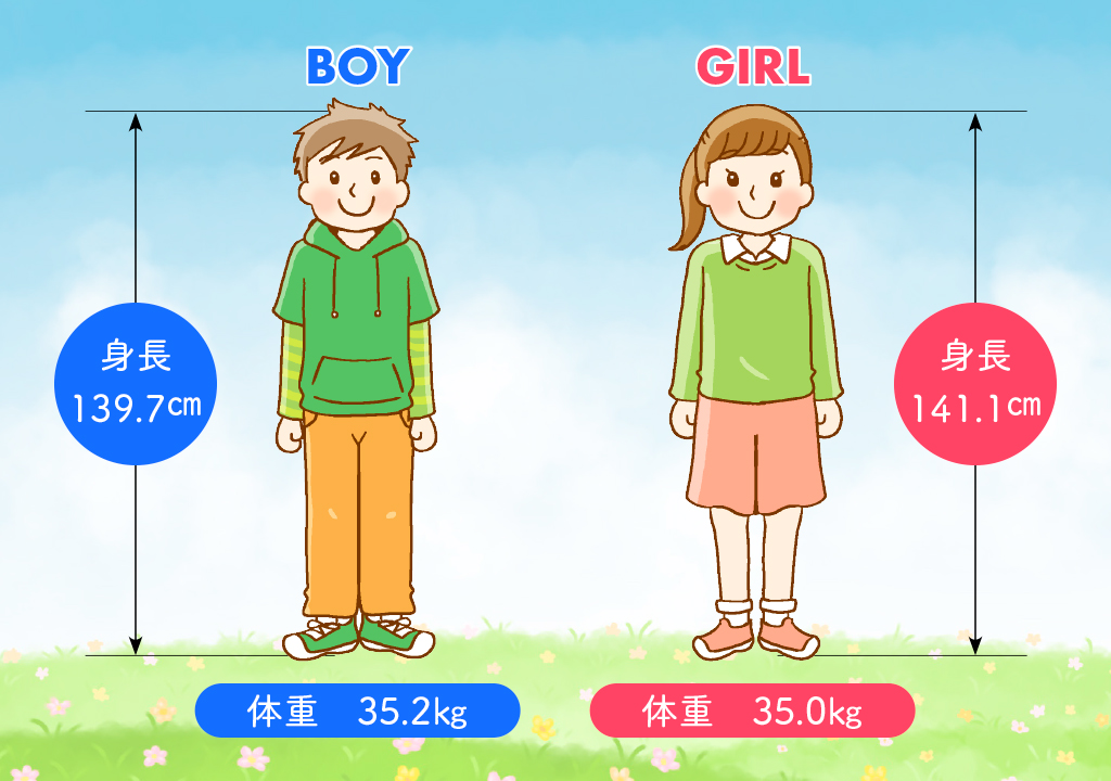 図表 身長・体重