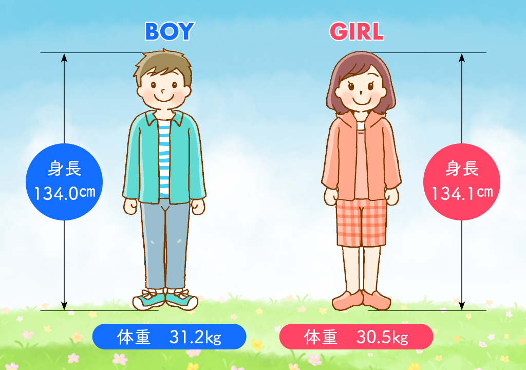 図表 身長・体重