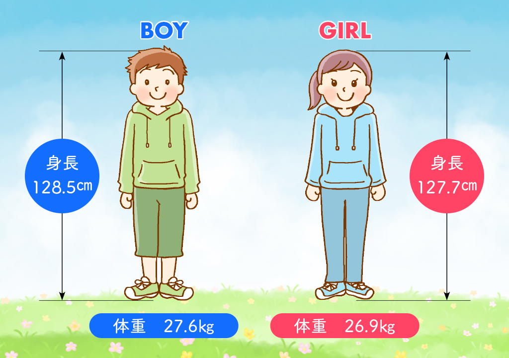 図表 身長・体重