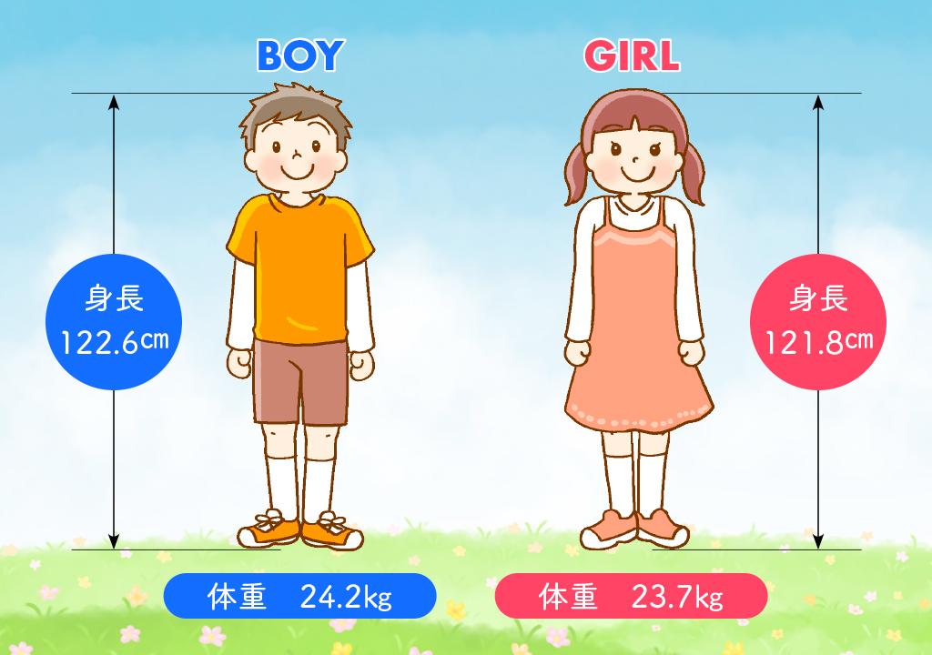図表 身長・体重