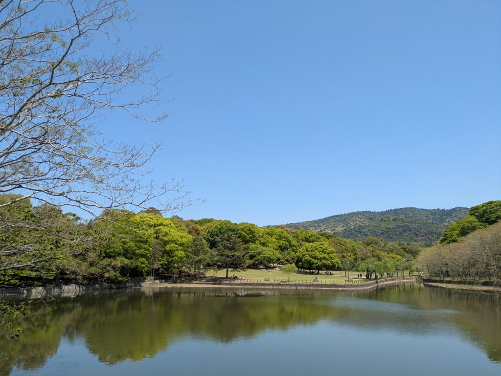 木々が生い茂る春の風景