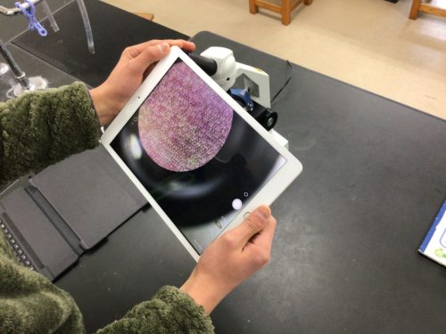 iPadで接眼レンズを撮影している様子