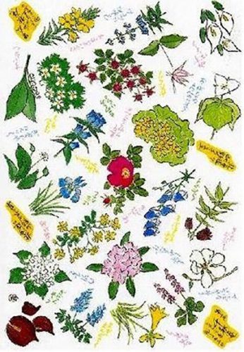 坂本さんが描いた絵がデザインされた六花亭の包装紙