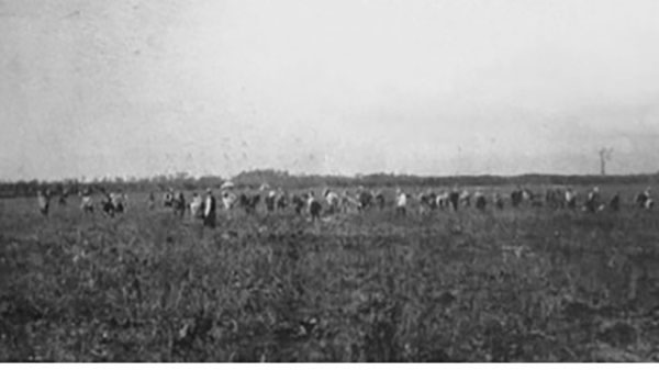 画像　1934～1936年、３期にわたる村民による着陸場拡張工事