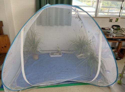 自然いっぱいの生き物ハウス