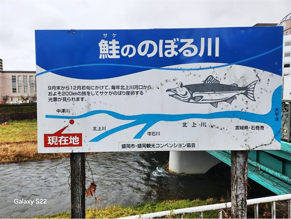 「鮭ののぼる川」と大書され、河岸に設置された看板