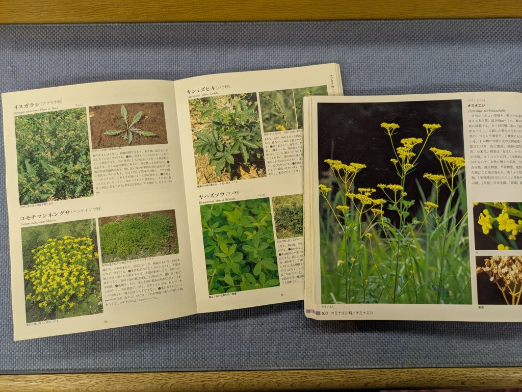 植物図鑑