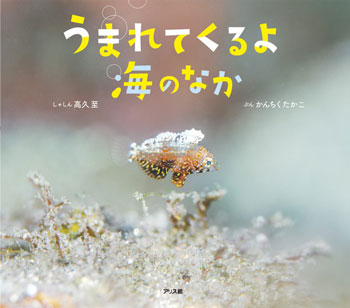 『うまれてくるよ 海のなか』 写真/高久至 文/かんちくたかこ
アリス館刊(発行:2022年)