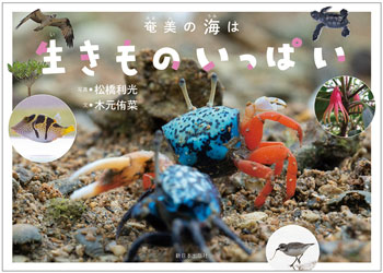 『奄美の海は生きものいっぱい』写真/松橋利光 文/木元侑菜 新日本出版社刊(発行:2025年)