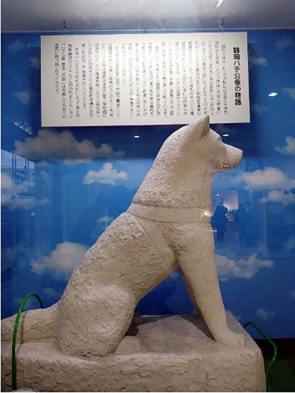 鶴岡駅に展示されている試作版のハチ公の石膏像