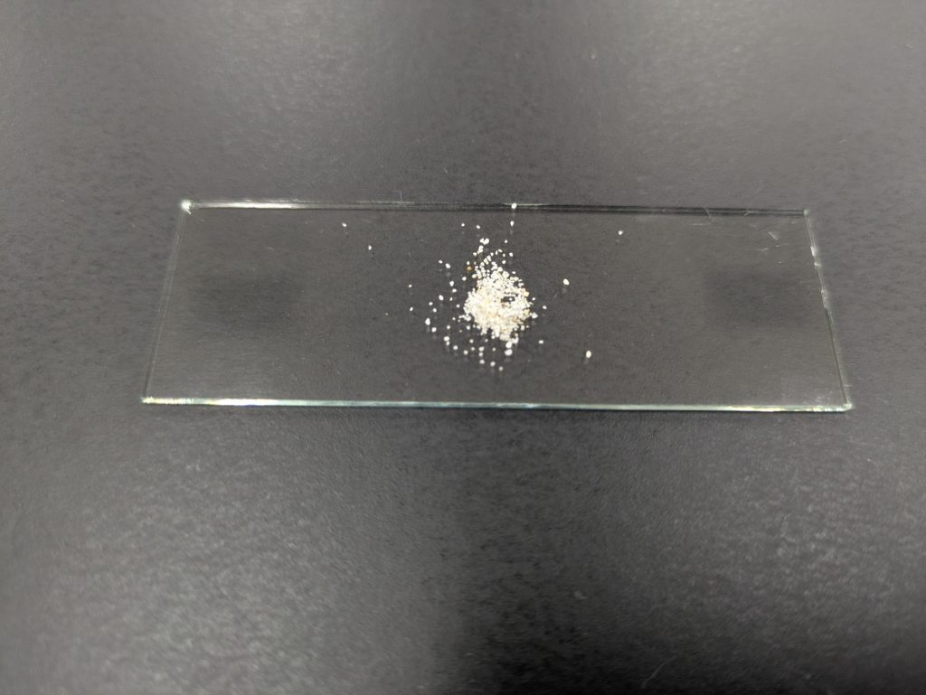 プレパラートに載せた白浜の砂粒