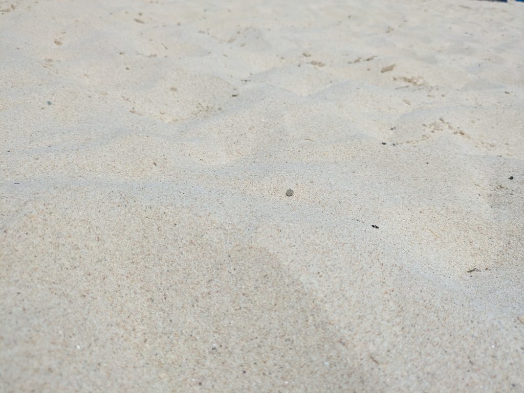 白浜のアップ