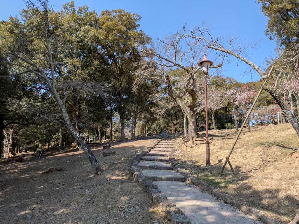 公園の様子