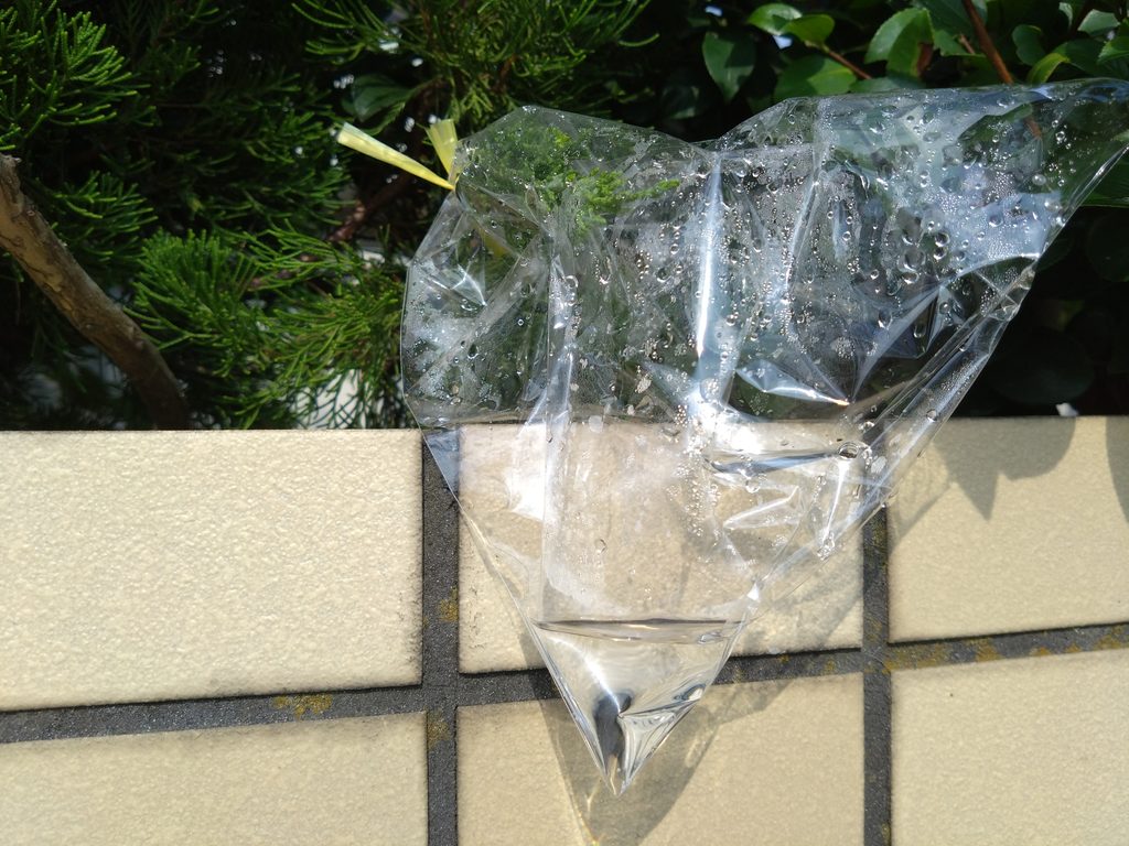 ④実験後