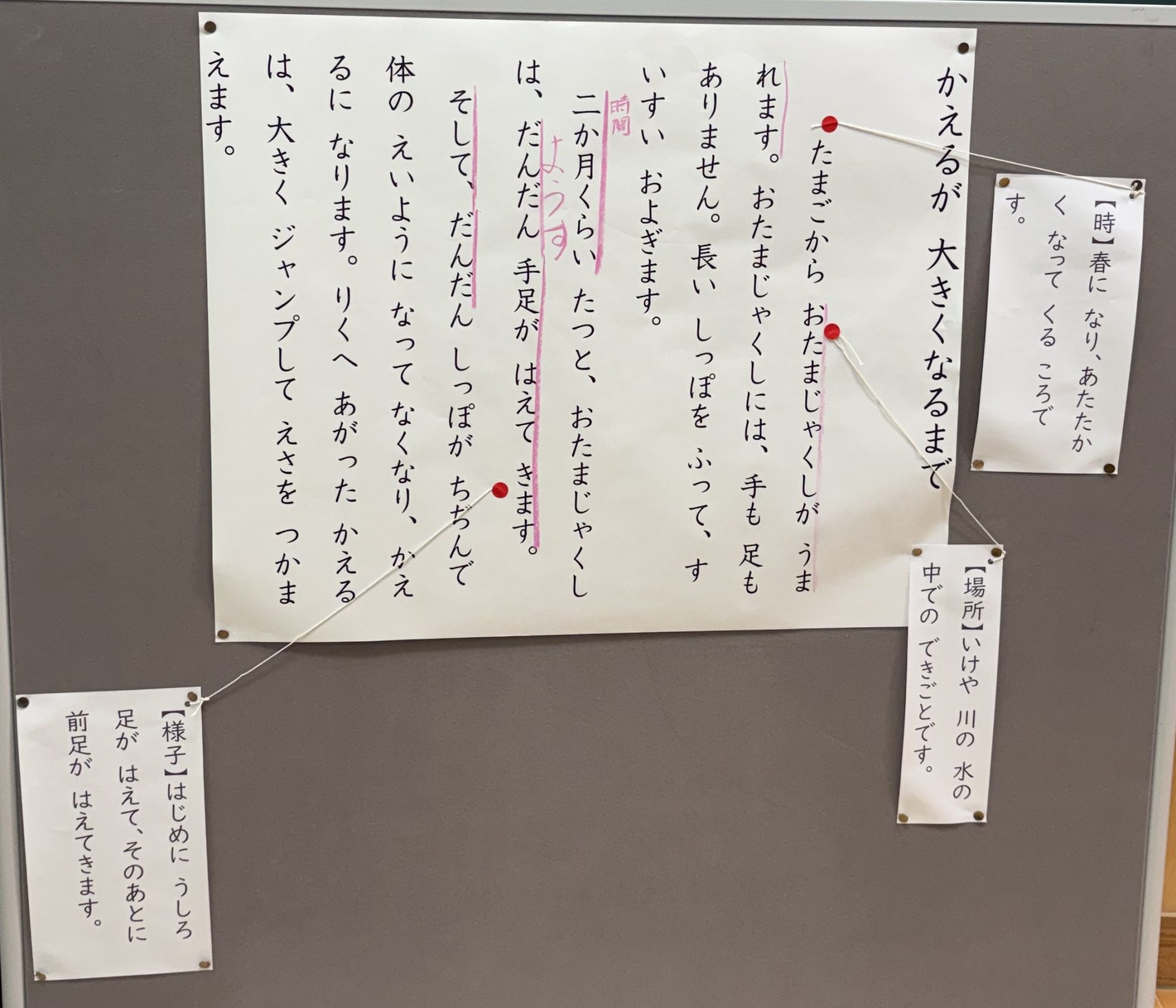 写真1 教師作のさけ以外(かえる)の成長が書かれた説明文。単元の導入で用いた。